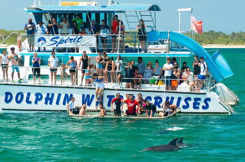 Port Stephens Dolphin Watching Cruise Including Splash And Slide - NT Tourism 1