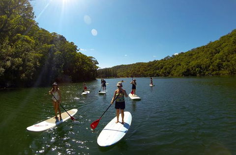 Basin Stand Up Paddle Boarding (SUP) Safari - Accommodation NT 0