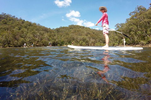 Basin Stand Up Paddle Boarding (SUP) Safari - Accommodation NT 3