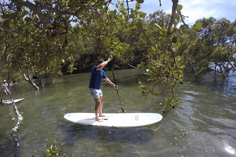 Basin Stand Up Paddle Boarding (SUP) Safari - Accommodation NT 2