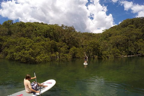 Basin Stand Up Paddle Boarding (SUP) Safari - Accommodation NT 7
