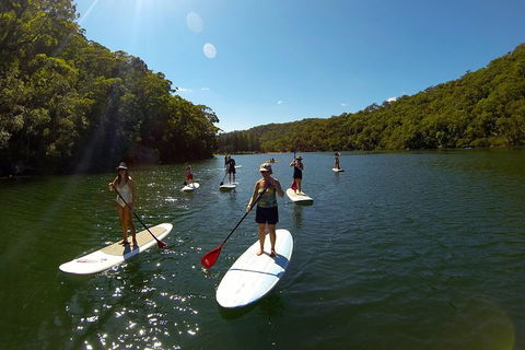 Basin Stand Up Paddle Boarding (SUP) Safari - Accommodation NT 4