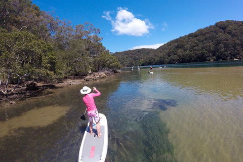 Basin Stand Up Paddle Boarding (SUP) Safari - Accommodation NT 5