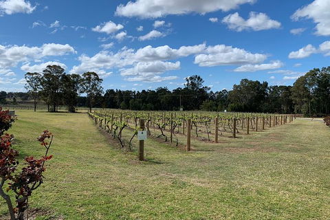 Private Day Trip To Hunter Valley From Sydney With Pickup - Accommodation NT 13