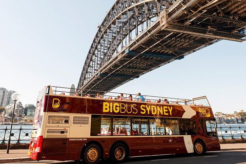 Sydney Shore Excursion: Big Bus Sydney And Bondi Hop-On Hop-Off Tour - Accommodation NT 12