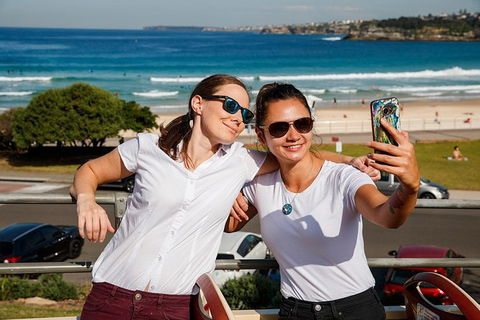 Sydney Shore Excursion: Big Bus Sydney And Bondi Hop-On Hop-Off Tour - Accommodation NT 3