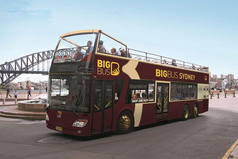 Sydney Shore Excursion: Big Bus Sydney And Bondi Hop-On Hop-Off Tour - Accommodation NT 13