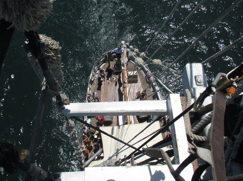 Sydney Harbour Tall Ship Lunch Cruise - Accommodation NT 4
