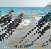 Sydney Guided Shore Dive - Accommodation NT