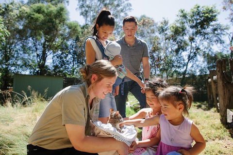 Featherdale Wildlife Park General Admission - Accommodation NT 4