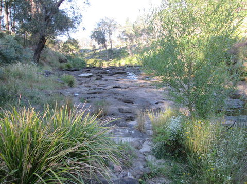 Wild Australian Wildlife 4WD Tour From Sydney - Accommodation NT 22