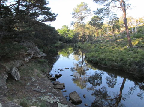 Wild Australian Wildlife 4WD Tour From Sydney - Accommodation NT 21