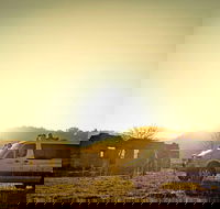 Wild Australian Wildlife 4WD Tour from Sydney - Accommodation NT
