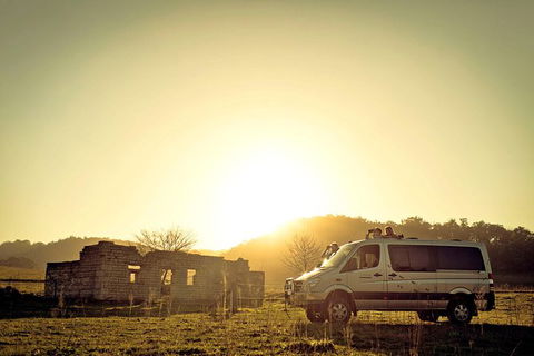 Wild Australian Wildlife 4WD Tour From Sydney - Accommodation NT 0