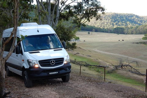 Wild Australian Wildlife 4WD Tour From Sydney - Accommodation NT 29