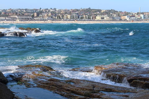 Sydney Discovery Tour By Private Charter - Accommodation NT 1