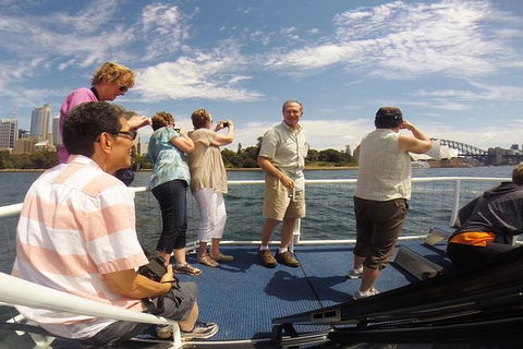 Sydney Harbour Private Tour - Accommodation NT 2