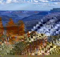 Blue Mountains Day Tour Including Three Sisters Scenic World and Wildlife Park - Accommodation NT