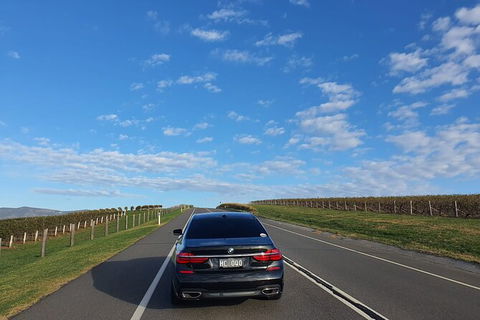 Hunter Valley Wine Country Luxury Tour From Sydney - Accommodation NT 3