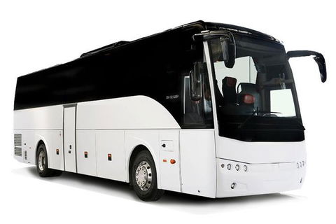 Shared Shuttle - Sydney (SYD) - Sydney City - Accommodation NT 1