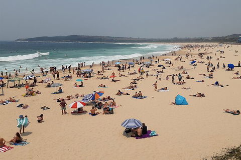 Experience The Real Sydney With Our Signature Tour - Accommodation NT 7