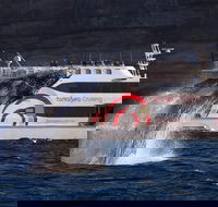 3 Hour Discovery Cruise Ultimate Whale Watching Experience - Accommodation NT