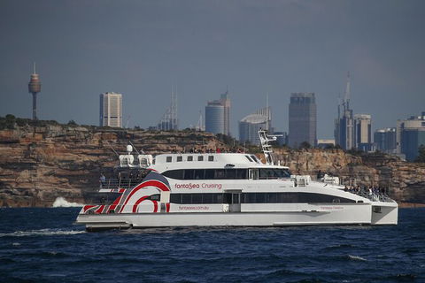 3 Hour Discovery Cruise Ultimate Whale Watching Experience - Accommodation NT 6