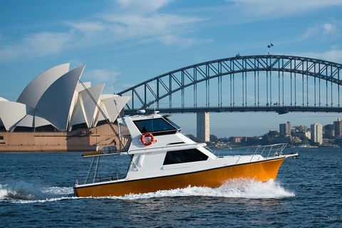 Private Whale Watching Tour Sydney - Luxury Yacht Up To 12 Guests - Accommodation NT 0