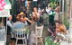 Tweed Valley Food, Farm & Distillery Tour - thumb 0