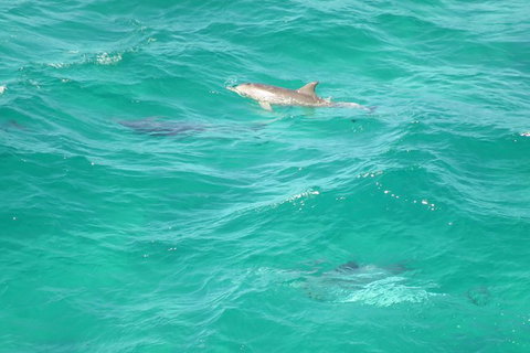 3-Hour Small-Group Byron Bay Tour - Accommodation NT 5