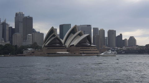 Sydney Whale-Watching Cruise Including Lunch Or Breakfast - Accommodation NT 10