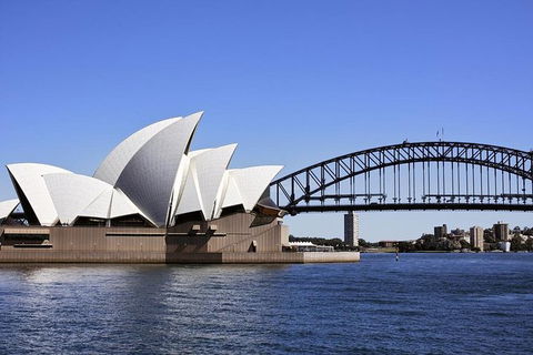 Sydney Whale-Watching Cruise Including Lunch Or Breakfast - Accommodation NT 24