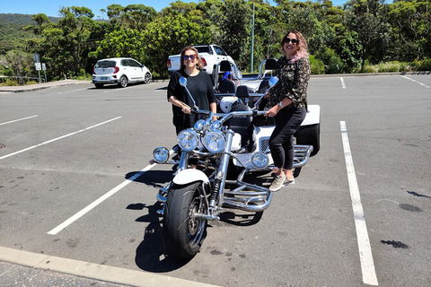 Grand Pacific Trike Or Harley Davidson Tour - Accommodation NT 3