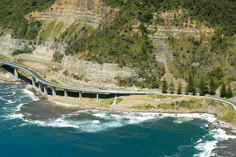 Grand Pacific Trike Or Harley Davidson Tour - Accommodation NT 6