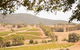 Hunter Valley Wine And Wildlife Reserve Tour From Sydney - thumb 6