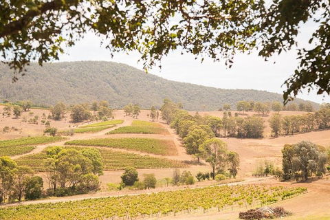 Hunter Valley Wine And Wildlife Reserve Tour From Sydney - Accommodation NT 6