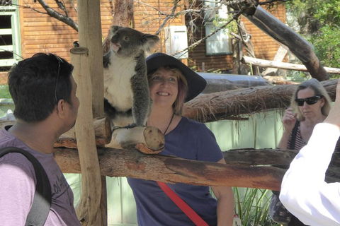 Hunter Valley Wine And Wildlife Tour From Sydney With Walkabout Wildlife Park - Accommodation NT 1