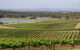 Hunter Valley Wine And Wildlife Tour From Sydney With Walkabout Wildlife Park - thumb 0