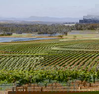Hunter Valley Wine and Wildlife Tour from Sydney with Walkabout Wildlife Park