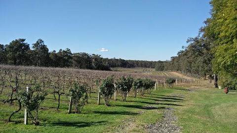 Hunter Valley Wine And Wildlife Tour From Sydney With Walkabout Wildlife Park - Accommodation NT 5