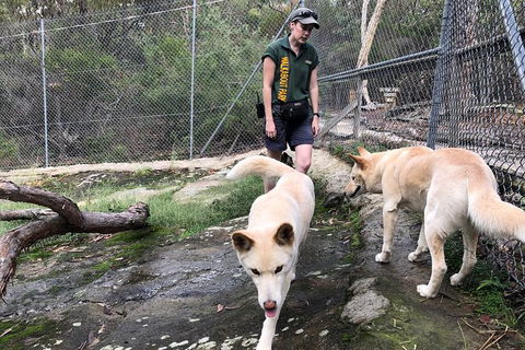 Visit Walkabout Wildlife Sanctuary - Accommodation NT 8