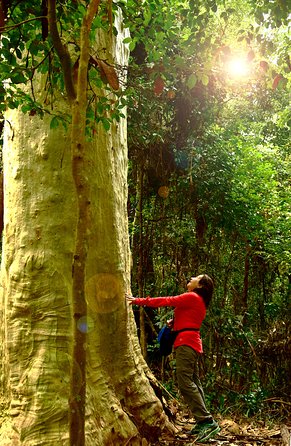 3 Day Murramarang Coast Journey From Batemans Bay With Meals And Villa Accom - Accommodation NT 4