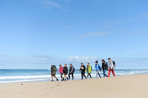 3 Day Murramarang Coast Journey From Batemans Bay With Meals And Villa Accom - Accommodation NT 7