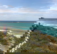 5 Day Murramarang Coast Journey from Sydney - Guided Hike with Villa Accom