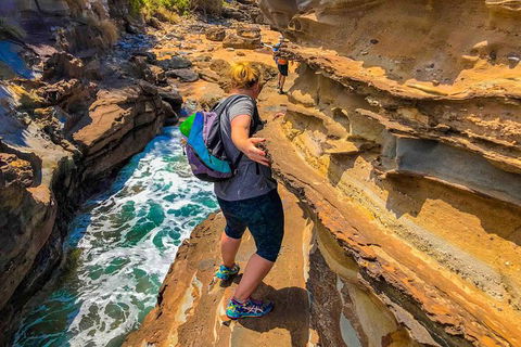 5 Day Murramarang Coast Journey From Sydney - Guided Hike With Villa Accom - Accommodation NT 1
