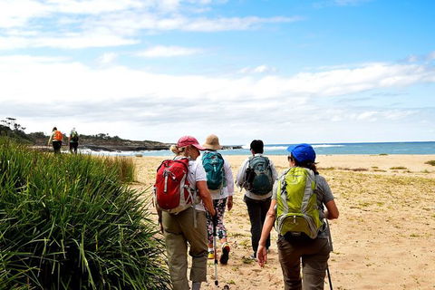 5 Day Murramarang Coast Journey From Sydney - Guided Hike With Villa Accom - Accommodation NT 5