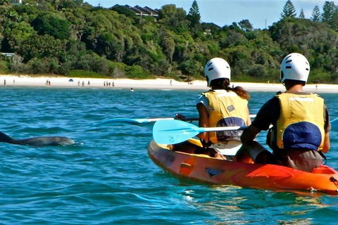 Byron Bay Kayaking With Dolphins And Mount Warning Sunrise Climb Including Overnight Camping And BBQ Dinner - Accommodation NT 9