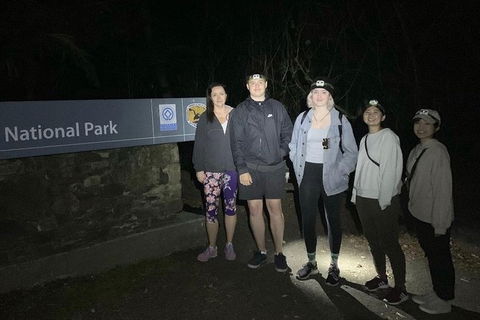Byron Bay Kayaking With Dolphins And Mount Warning Sunrise Climb Including Overnight Camping And BBQ Dinner - Accommodation NT 2