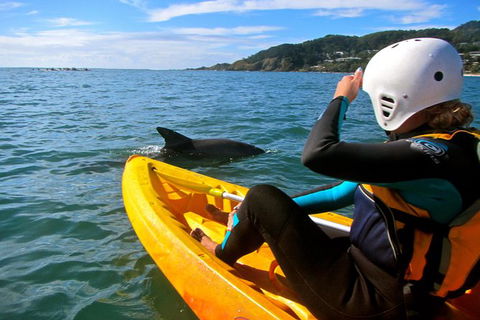Byron Bay Kayaking With Dolphins And Mount Warning Sunrise Climb Including Overnight Camping And BBQ Dinner - Accommodation NT 7