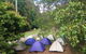 Byron Bay Kayaking With Dolphins And Mount Warning Sunrise Climb Including Overnight Camping And BBQ Dinner - thumb 13